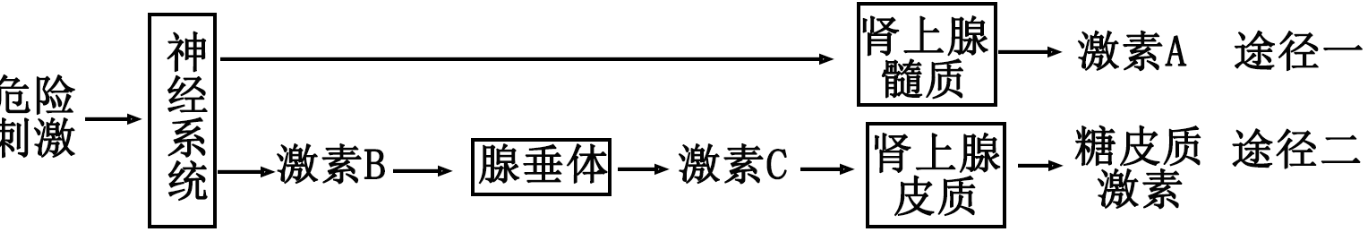 德优题库