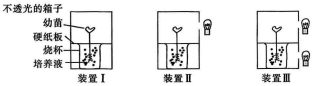 德优题库