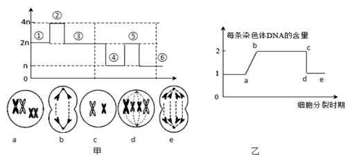 德优题库