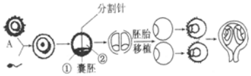 德优题库