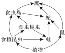 德优题库