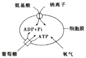 德优题库