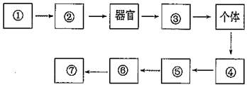 德优题库