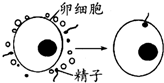 德优题库