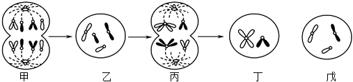 德优题库