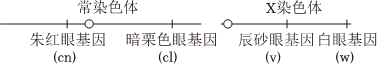 德优题库