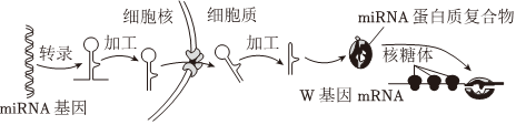 德优题库