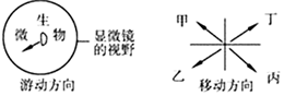 德优题库