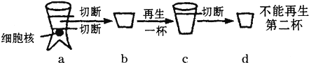 德优题库
