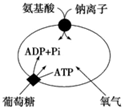 德优题库