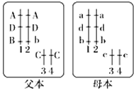 德优题库