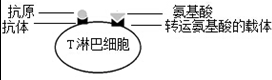 德优题库