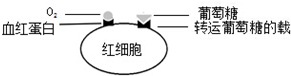 德优题库