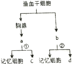 德优题库