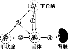 德优题库