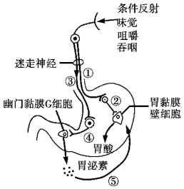 德优题库