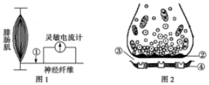 德优题库