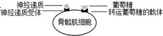 德优题库