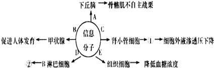 德优题库