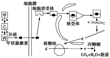 德优题库