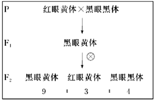 德优题库