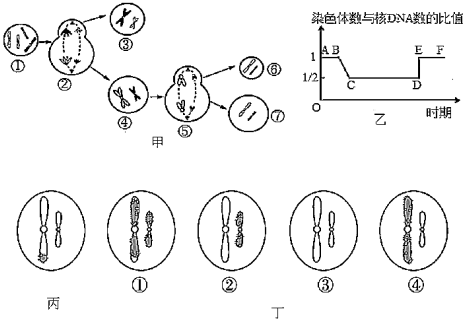 德优题库