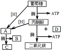 德优题库