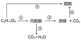 德优题库