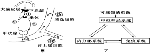 德优题库