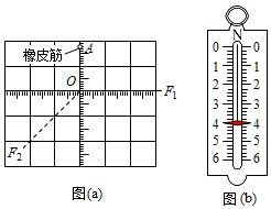 德优题库