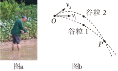德优题库