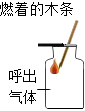 德优题库