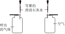 德优题库