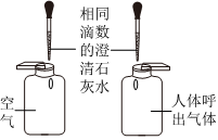 德优题库