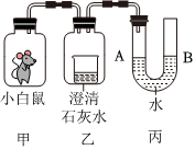 德优题库
