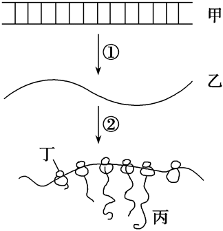 德优题库