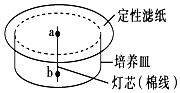德优题库