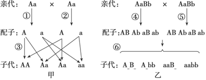 德优题库