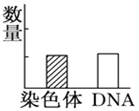 德优题库