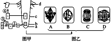德优题库