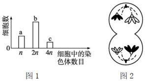 德优题库