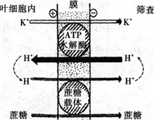 德优题库