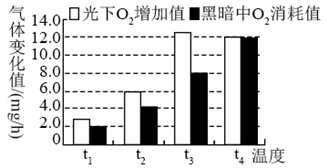 德优题库