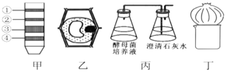 德优题库