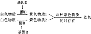 德优题库
