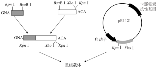 德优题库