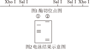 德优题库