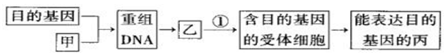 德优题库