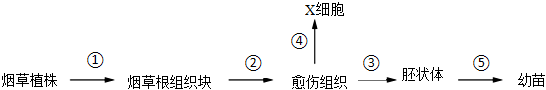 德优题库