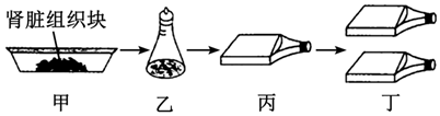 德优题库